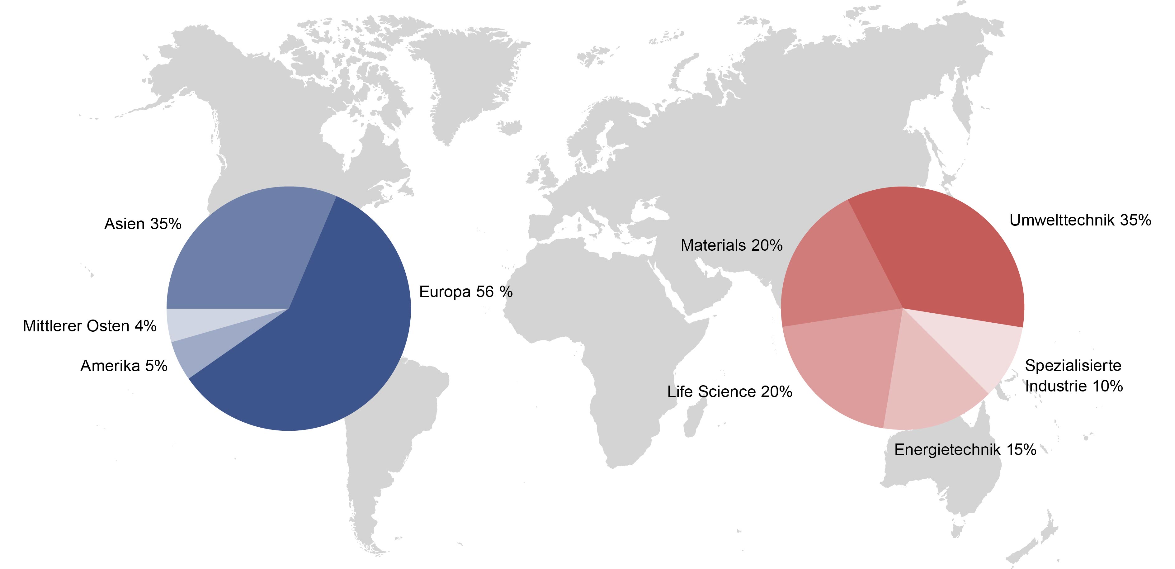 Diagramm Reitz Group Umsatz nach Region und Markt